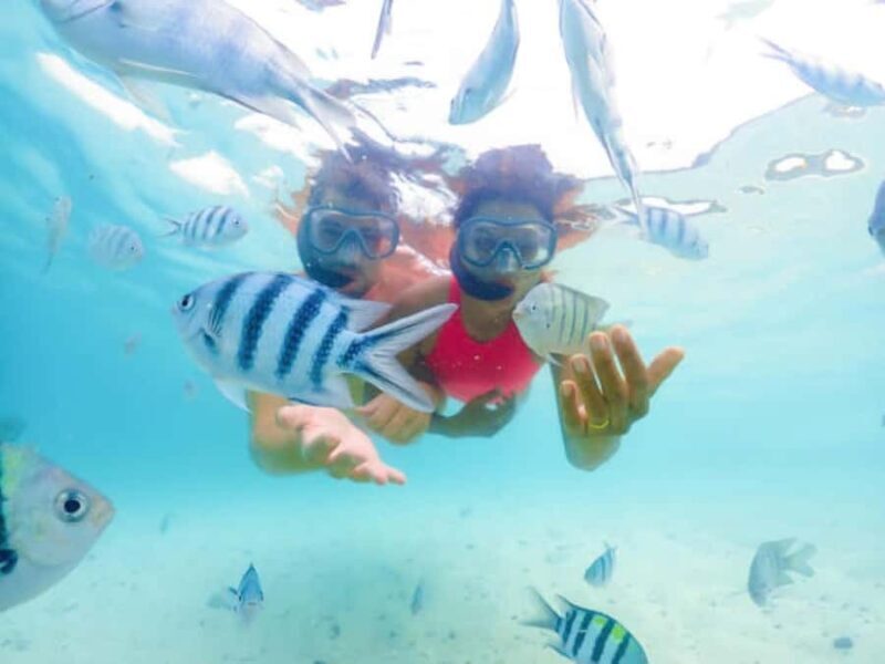 Snorkeling or Jet Ski Experience at Nusa Dua Bali - Good To Know