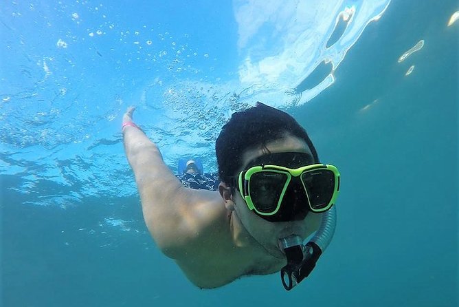 Snorkeling &/or Stand Up Paddle Boarding Lunch & Beach Brake - What To Expect
