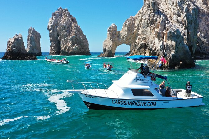 Snorkeling or Swimming With Sharks in Cabo San Lucas - Common Questions