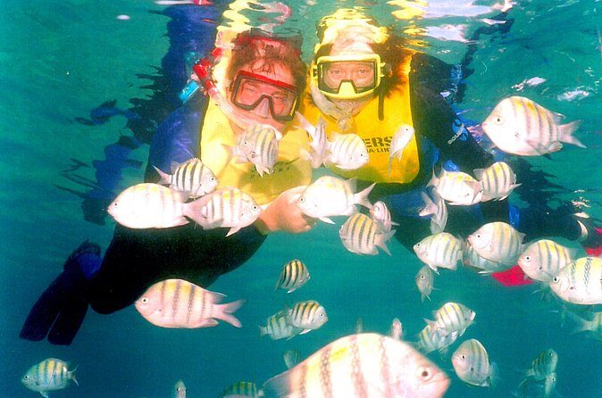 Snorkeling Party Boat in Punta Cana (Half Day) - Practical Tips for Booking and Participation