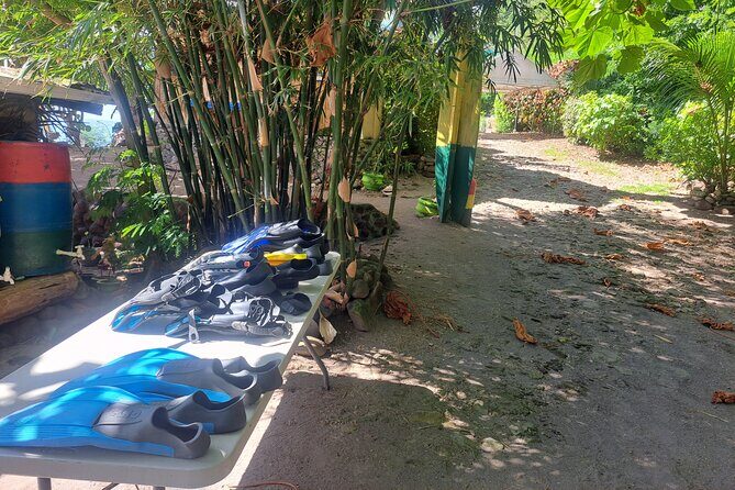 Snorkeling Point with Panoramic View and Hot Spa Bath - What’s Included and Additional Costs