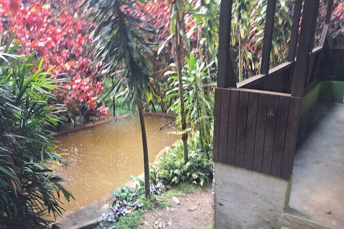 Snorkeling Point with Panoramic View and Hot Spa Bath - FAQs