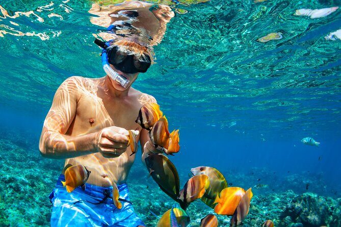 Snorkeling Private Tour in San Juan - Good To Know