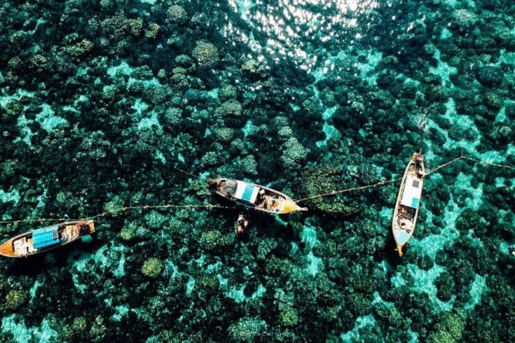 Snorkeling Program 1 Private Boat Lunch Included - Program Details