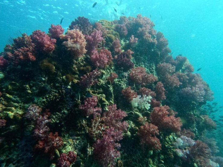 Snorkeling Program 1 Private Boat Lunch Included - Locations