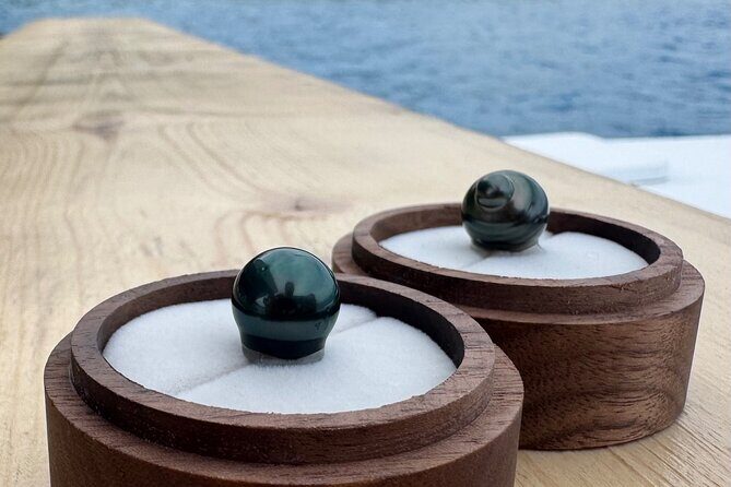 Snorkeling Shark Ray and Discovery DE the Black Pearl in Bora Bora - An Authentic Bora Bora Marine Adventure