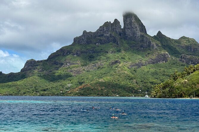 Snorkeling Shark Ray and Discovery DE the Black Pearl in Bora Bora - The Sum Up