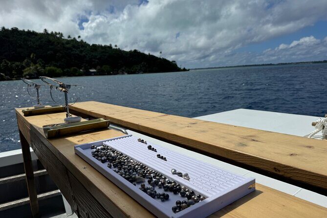 Snorkeling Shark Ray and Discovery DE the Black Pearl in Bora Bora - FAQ