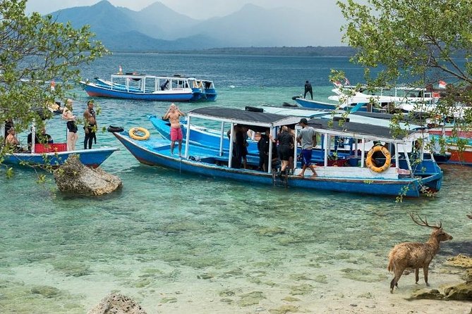 Snorkeling to Menjangan Island - Snorkeling Gear Essentials
