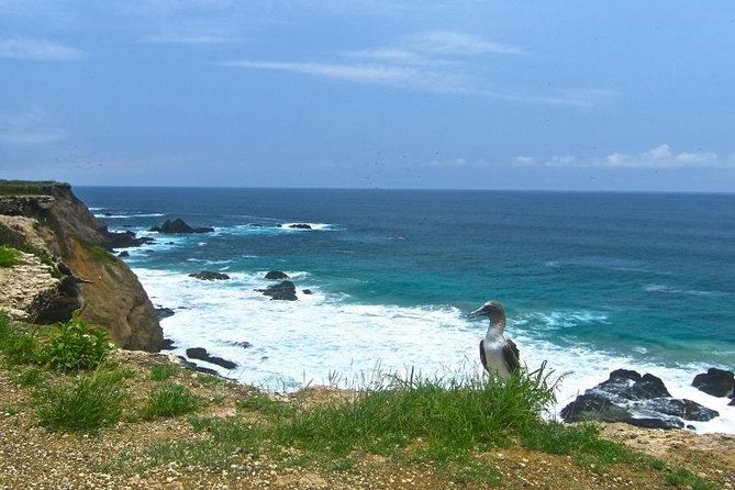 Snorkeling Tour and Whales Watching - Machalilla National Park - Tour Inclusions