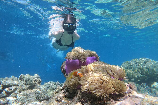 Snorkeling Tour at Blue Lagoon With Private Hotel Transfer - Flexible Cancellation Policy