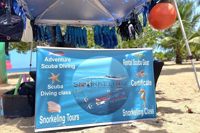 Snorkeling Tour at Cerro Gordo Beach Vega Alta Puerto Rico - Good To Know