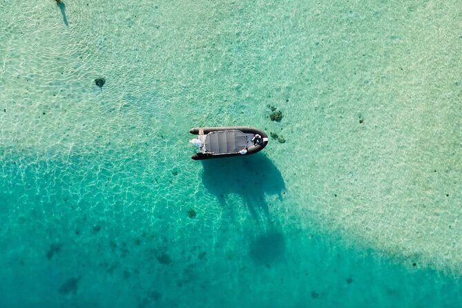 Snorkeling tour by boat on Moorea - The Sum Up: Who Will Love This Tour?