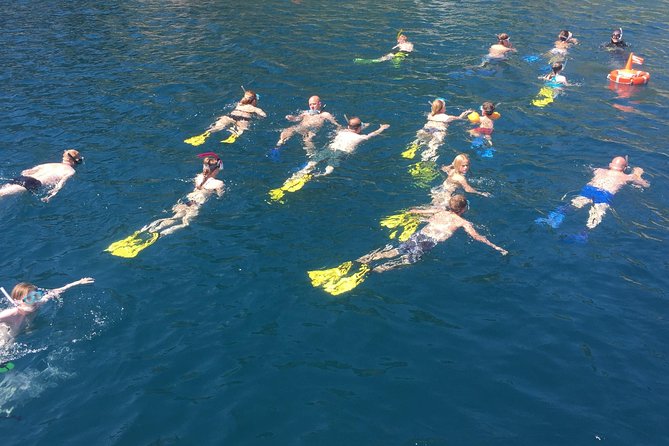 Snorkeling Tour Coast to Coast Taormina & Isola Bella - Positive Traveler Experiences