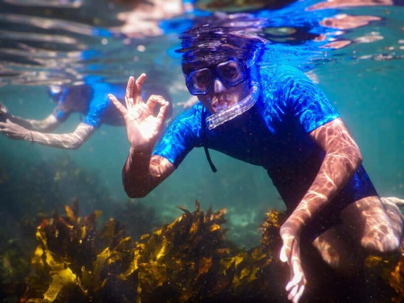 Snorkeling Tour: Discover Sydneys impressive sea life - FAQ