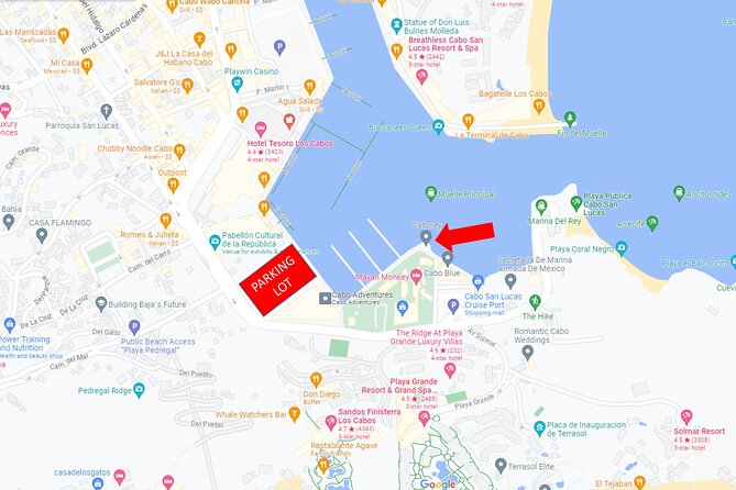 Snorkeling Tour in Cabo San Lucas - Final Thoughts