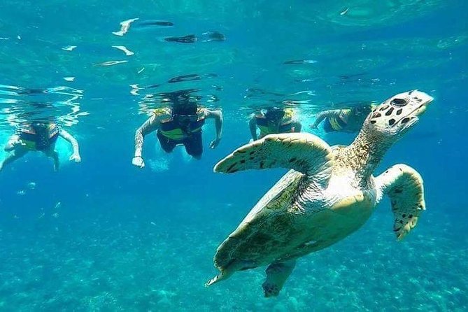 Snorkeling Tour In Gili Islands Pick Up From Lombok Or Gili - Pick-Up Locations