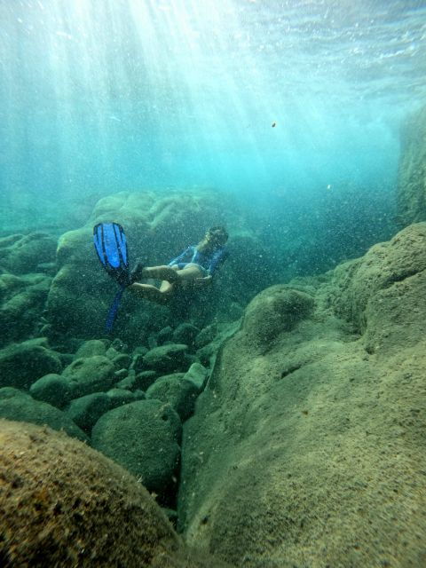 Snorkeling Tour in Levanto: Discover the Wonders of the Sea! - Good To Know