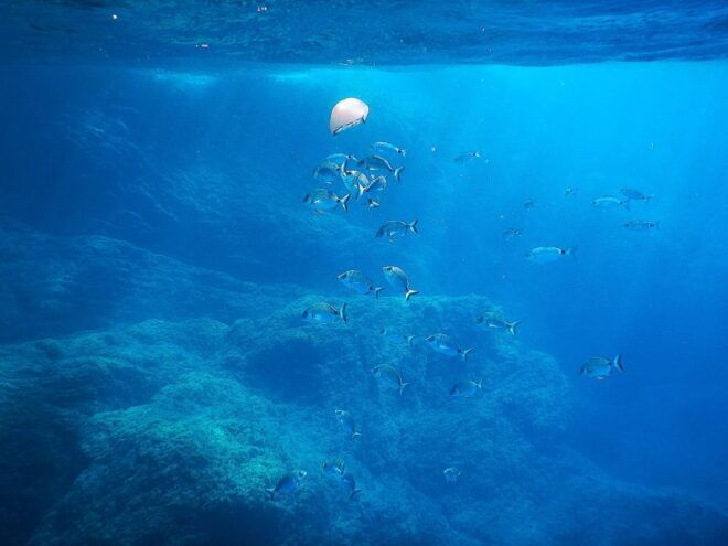 Snorkeling Tour in Levanto: Discover the Wonders of the Sea! - Meeting Point