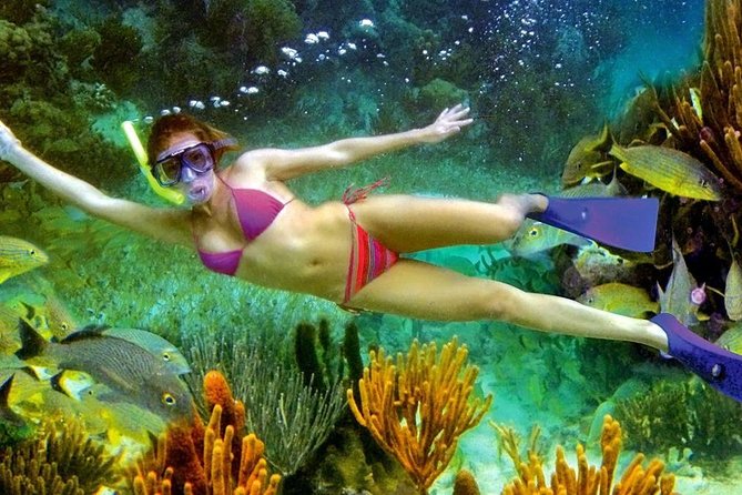 Snorkeling Tour in Puerto Morelos - What to Expect on the Snorkeling Tour