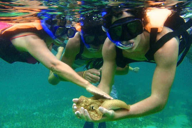 Snorkeling Tour in Puerto Morelos - Safety Guidelines and Equipment Introduction
