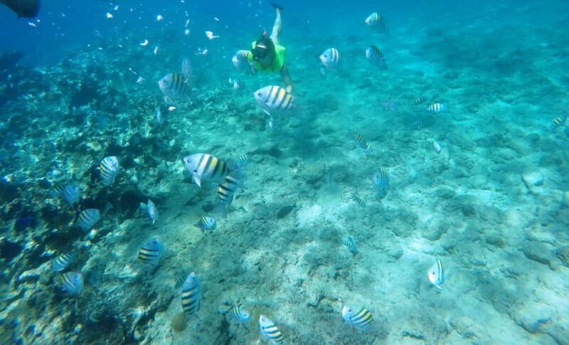 Snorkeling Tour & Sosua Beach Day - A Complete Look at the Snorkeling Tour & Sosua Beach Day