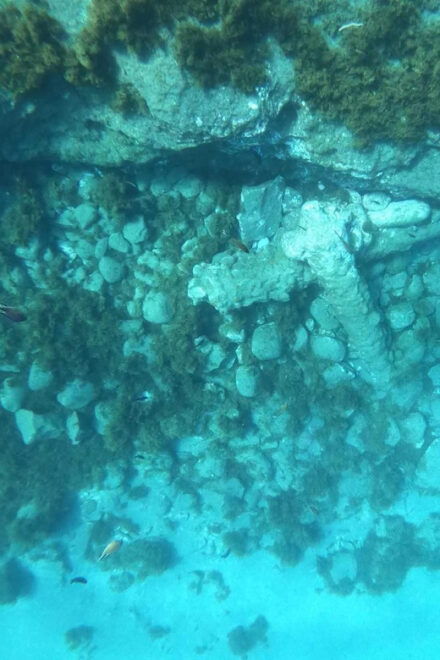 Snorkeling Tour- Vila Franca Do Campo Islet - Itinerary Details