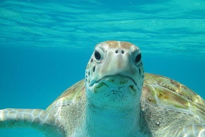 Snorkeling Tour (with Light Refreshments) - Good To Know