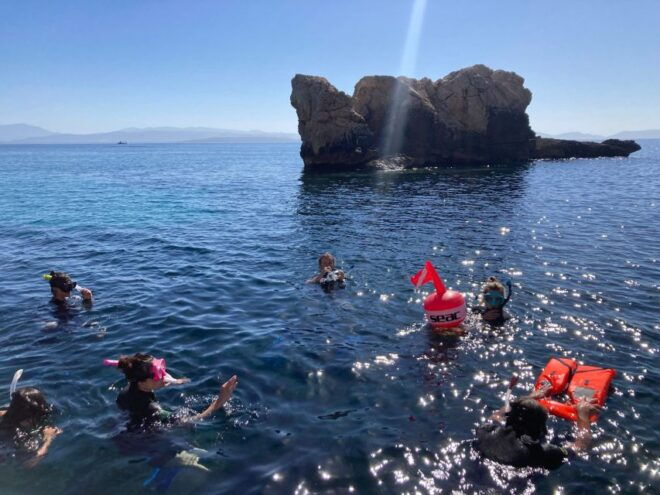 SNORKELING TRIP - Frequently Asked Questions