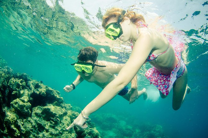 Snorkeling Trip at Koh Chang (Starts From Koh Chang) - What To Expect