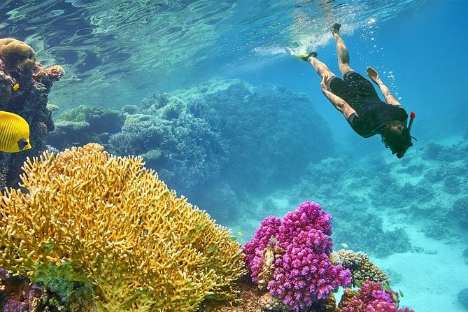Snorkeling Trip at Port Ghalib Marina From Marsa Alam - Pickup Information
