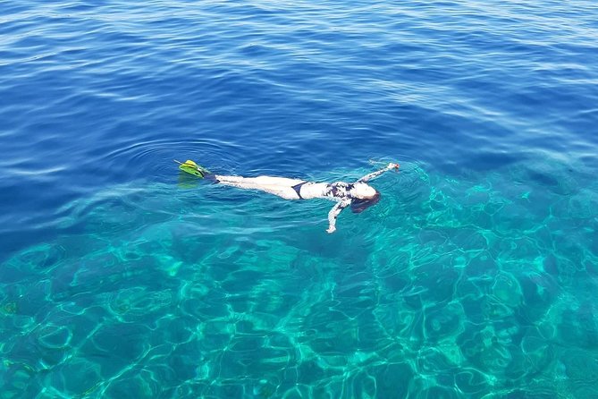 Snorkeling Trip - Crikvenica/ Krk Island - What To Expect