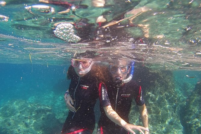 Snorkeling Trip - Traveler Reviews and Photos
