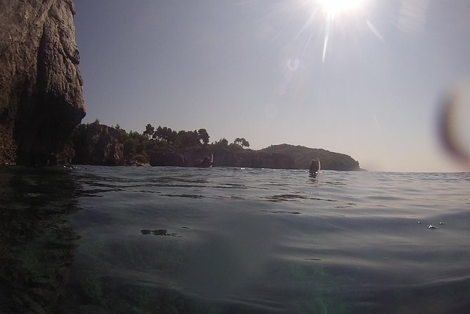 Snorkeling Trip - Viator Help Center and Additional Information