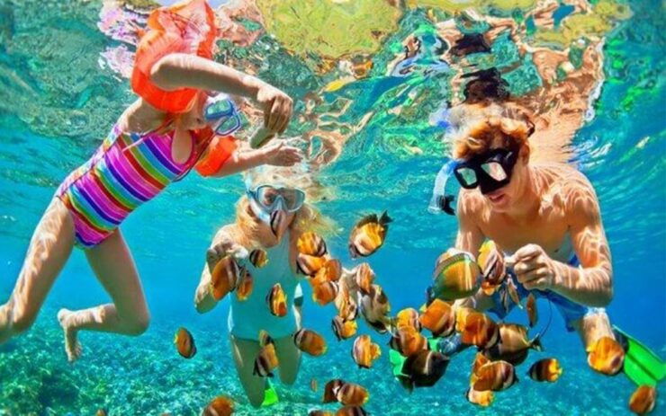 Snorkeling Trip From Polhena Beach, Matara, Sri Lanka - Snorkeling at Polhena Beach
