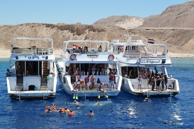 Snorkeling Trip In Tiran Island By Boat In Sharm El Sheikh - Accessibility and Recommendations