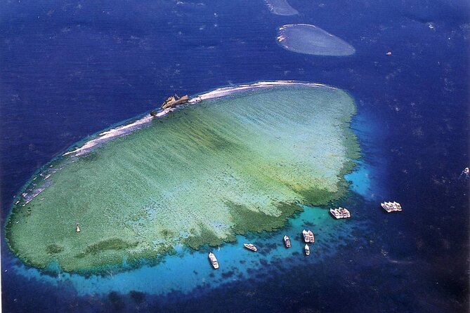 Snorkeling Trip In Tiran Island By Boat In Sharm El Sheikh - What to Expect On The Trip