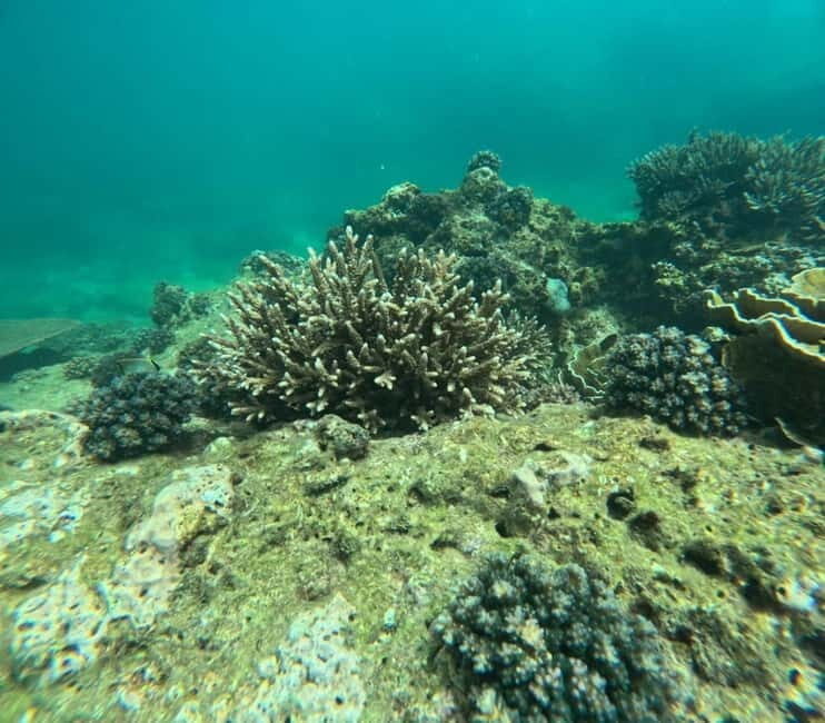 Snorkeling Trip To Angel Rock - A Closer Look at the Experience