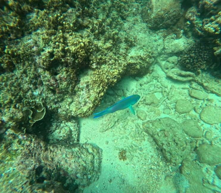 Snorkeling Trip To Angel Rock - Good To Know