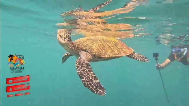 Snorkeling Trip To Pigeon Island - An Honest Look at the Snorkeling Adventure