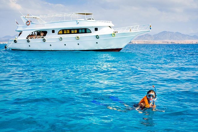 Snorkeling Trip to the White Island & Ras Mohammed - Reviews and Feedback