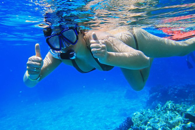 Snorkeling Trip to the White Island & Ras Mohammed - Negative Reviews
