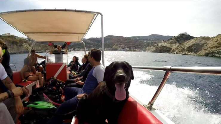 Snorkeling Trip With Motor Boat Around Agia Pelagia - Trip Details