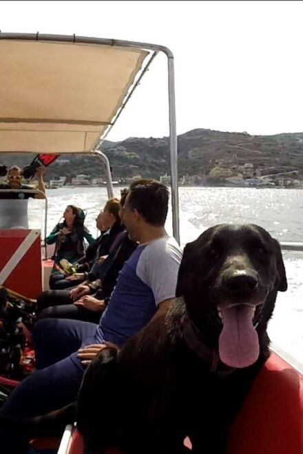Snorkeling Trip With Motor Boat Around Agia Pelagia - Experience Description