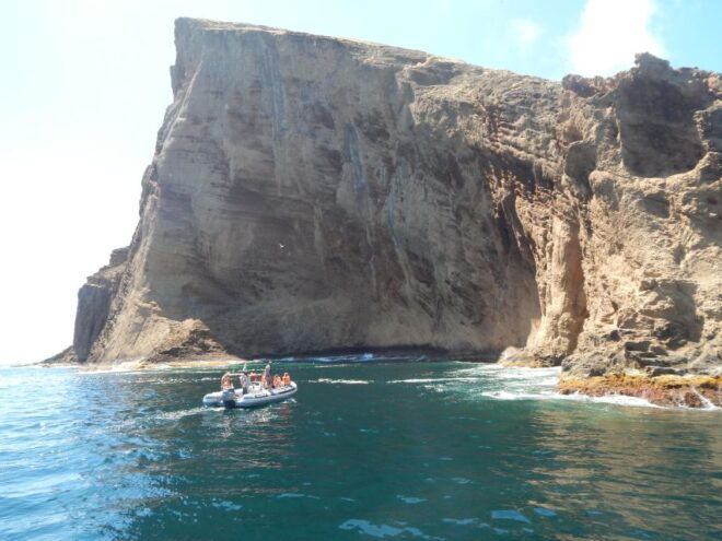 Snorkeling Wildlife in Terceira Island - What to Bring for Snorkeling