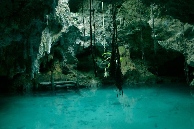 Snorkeling With Caribbean Fish and Private Cenote Exploration - Private Cenote Exploration