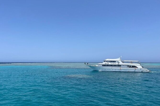 Snorkeling With Dugongs and Turtles on Marsa Mubarak - Meeting Point Options