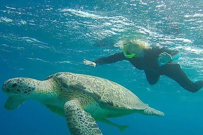 Snorkeling With Dugongs and Turtles on Marsa Mubarak - Booking Options