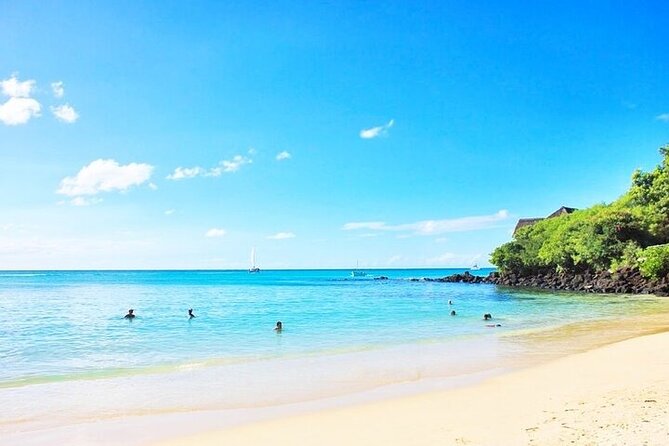 Snorkeling With Giant Turtles & 4 Beaches in the North - The Sum Up
