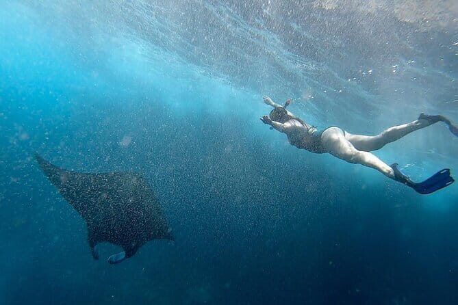 Snorkeling with Manta Rays from Maafushi - The Experience in Detail